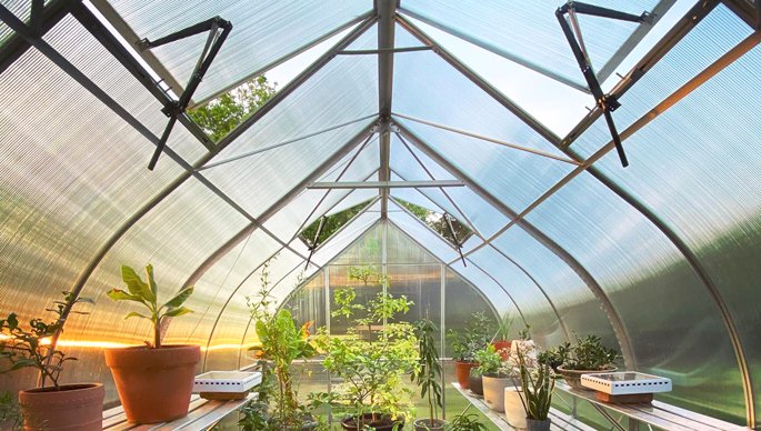 ��� ������������ ������� �����. ����� ��������� ����������� ��� ��������������� ������. ��������� ����� � �������� ��� ������������� ����������